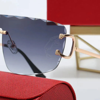 2025 Shield Sunglasses